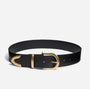 Black leather Bonnie Belt with a gold-tone metal buckle, loop, and pointed tip hardware.