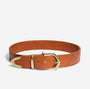 Tan leather Bonnie Belt with a gold-tone metal buckle, loop, and pointed tip.