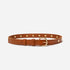 Tan leather belt with gold metal studs and a rounded gold buckle, coiled on a white background.