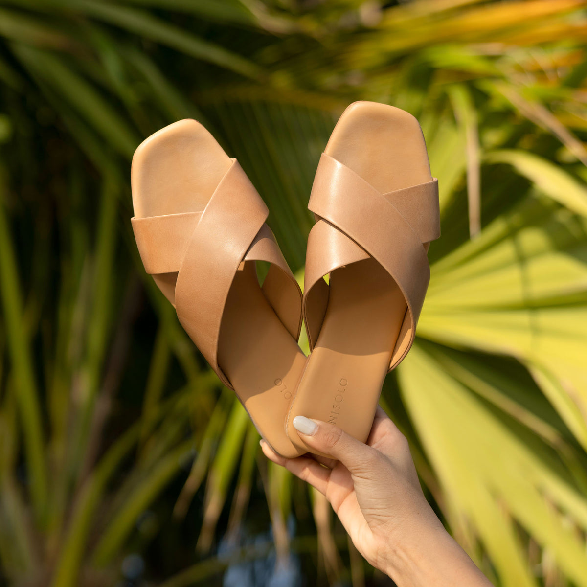 Pair of almond tan leather crisscross slide sandals held by a hand against green palm leaves. NISOLO is printed on the heel.